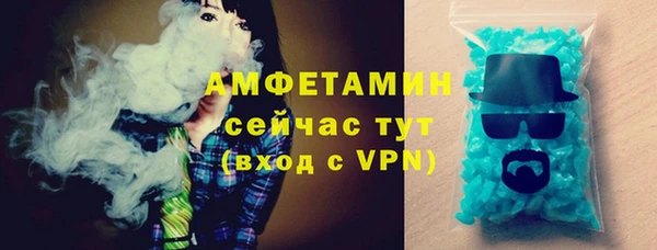 шишки Богородицк
