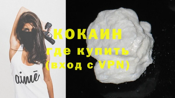 шишки Богородицк