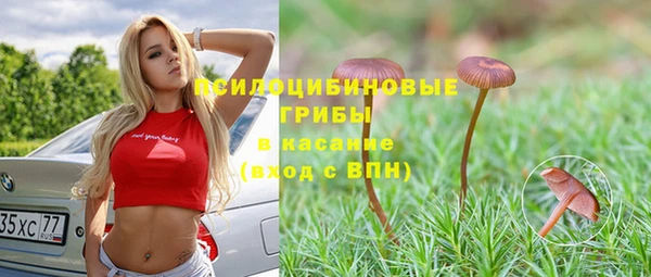 гашик Армянск